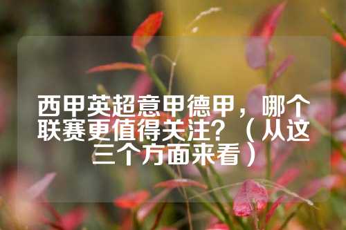 也为球迷们
