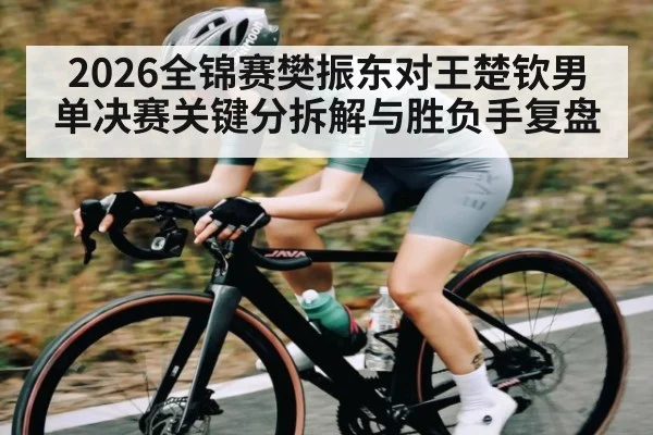 2026全锦赛樊振东对王楚钦男单决赛关键分拆解与胜负手复盘